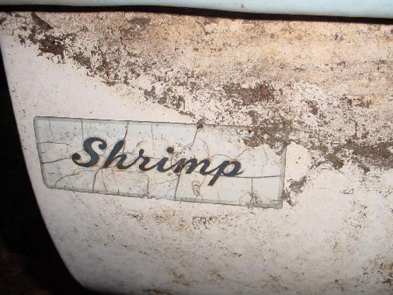 Shrimp Sailboat by 