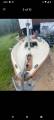 Sea Pearl Sailboat by Marine Concepts